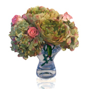 Hydrangea Rose